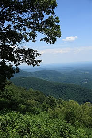 The hills of  Fairfax County Virginia, near Reston VA.